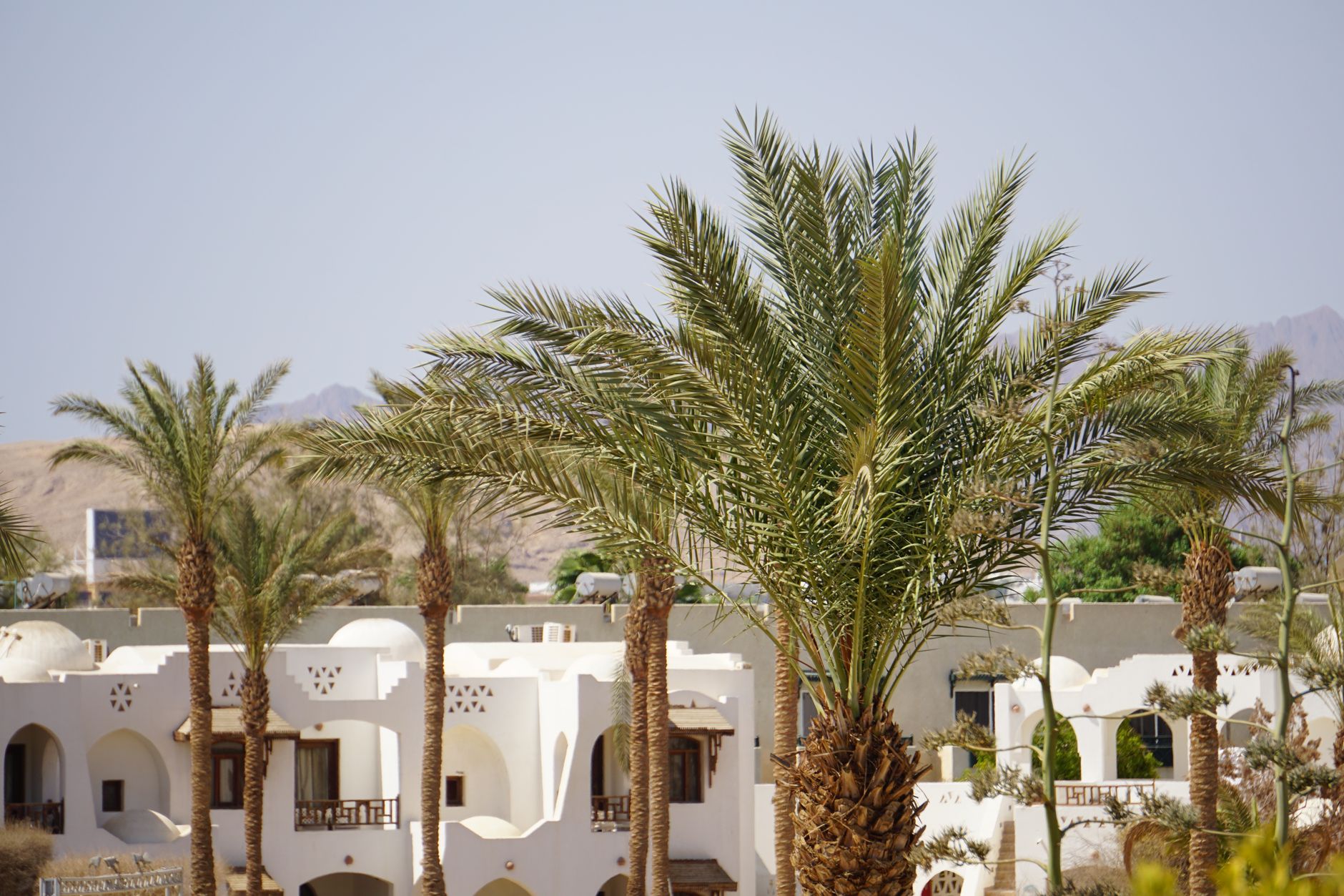 Hotel Ettaoufiq
